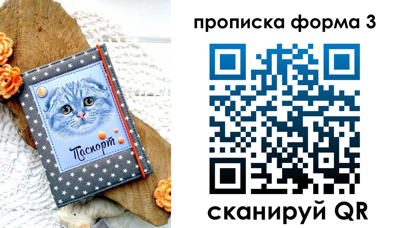прописка поиск в Сорочинске